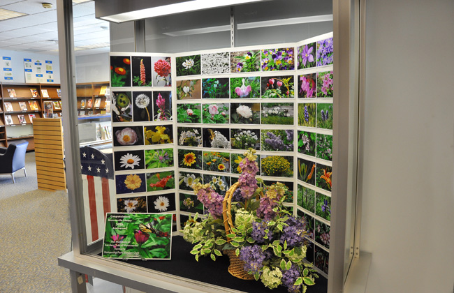 Monroeville Library display case